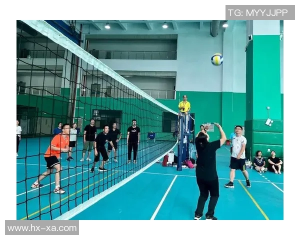 成都排球队的奋进之路：一段排球精神与团队合作的真实纪实