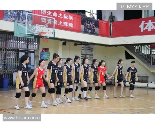 武汉排球队荣登排球个人能力排行榜第一名引发热议