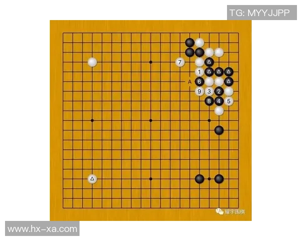 张磊亲授羽毛球技巧与心得分享助你提升竞技水平