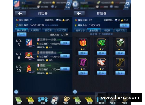 职业冰球员的进阶指南