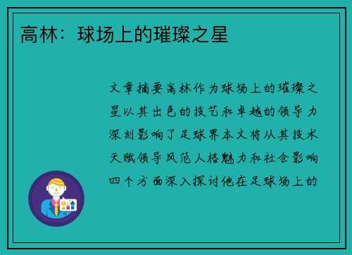 高林：球场上的璀璨之星