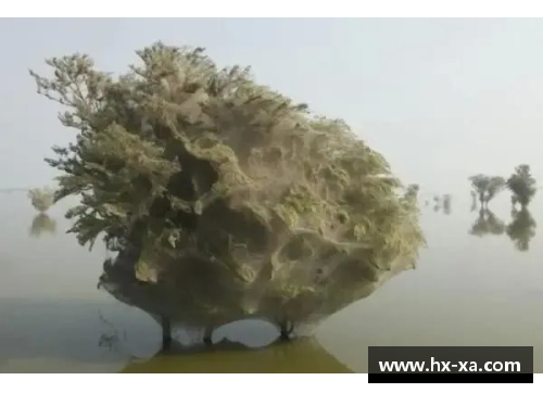 雷劈死：探讨自然现象与人类命运的奇异交汇